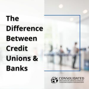 Image showing this topic: Credit Union vs Bank: Understanding The Differences