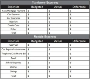 mandatory and flexible expenses